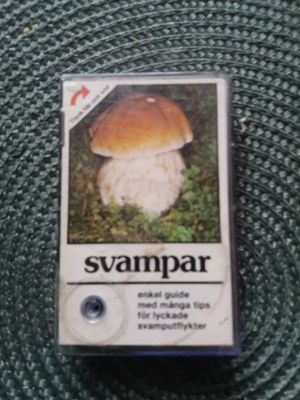 Svampar, sieniä kortit