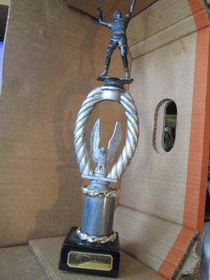 lentopallo pokaali