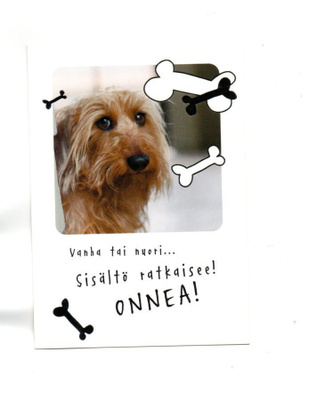 °"VANHA TAI NUORI...SISÄLTÖ RATKAISEE! ONNEA!"°  -KORTTI