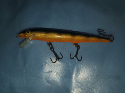 Rapala floating ireland viehe