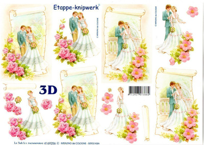 3D °°HÄÄPARIT & RUUSUJA°° /Etappe-Knipwerk