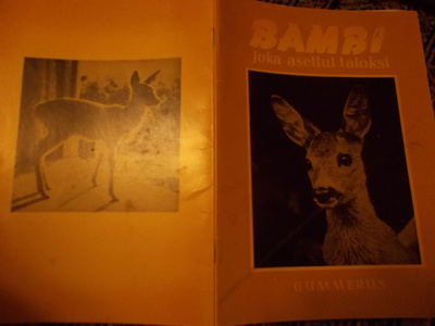 BAMBI