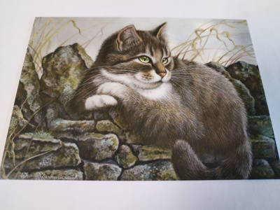 Kissa kortti,kulkematon.