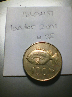 Islanti 100 kruunua 2001, km#35