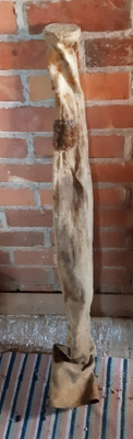 Hyljepyssyn vanha suojapussi  , meriantiikkia