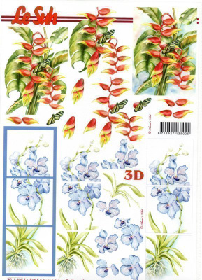 3D °°HIENOT SINISET & PUNAISET KUKAT°°