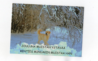 °°JOULUNA MUISTAN YSTÄVÄÄ°° -JOULUKORTTI
