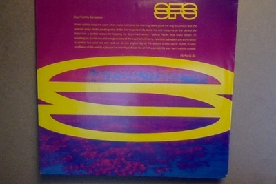 SOUL FAMILY SENSATION  ::  PERFECT LIFE :: VINYYLI 7"   1991