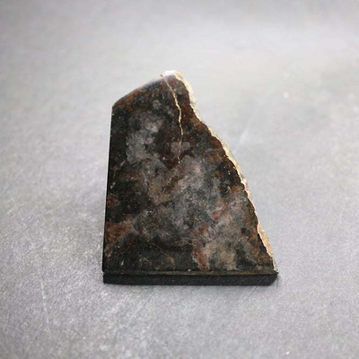 Meteoriitti 57x6 mm sahattu 103.00 karaattia Pohjois-Afrikka