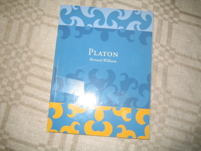 Bernard Williams - Platon, Filosofian keksiminen