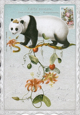 Barbara Behr: Panda