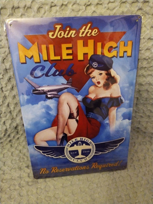 PELTIKYLTTI MILE HIGH CLUB 20X30CM *UUSI!*