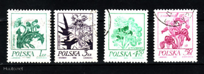Kukat, Puola