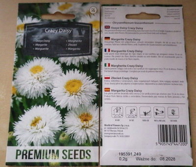 Päivänkakkara "Crazy Daisy" - siemenet #