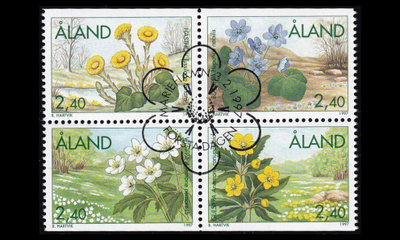 120-3vb o Kevätkukkia EPL (1997)