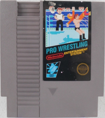Pro Wrestling