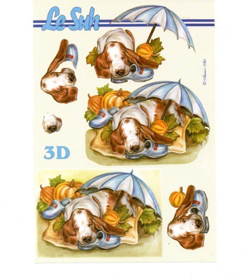 3D "°KOIRA & SYKSYINEN PUUTARHA"°