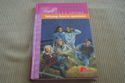 Tallijengi Amorin apulaisina
