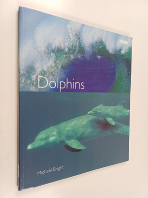 Michael Bright : Dolphins