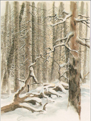 Pälikkö KP 1217:  AARNIMETSÄN TALVI. Ei kulk.