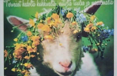 no 1 - terveiset kedolta kukkaiselta, niitylt tuulee