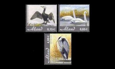 244-6 ** Lintuja (2005)