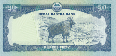 Nepal 50 Rupees 2012 P72 Thar - Himalajan Urosvuohi #436