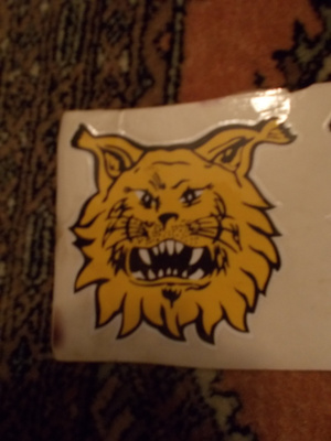 ILVES