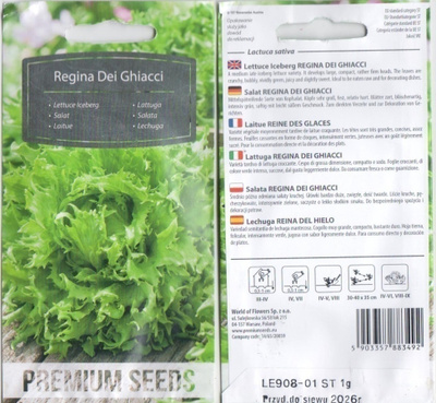 Jäävuorisalaatti - Regina Dei Ghiacci siemenet #