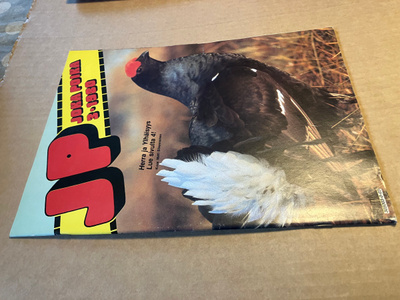 JOKA POIKA LEHTI 3/1980 HYVÄ