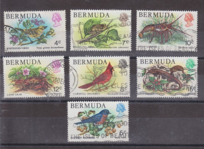 Bermuda 1978 eläimiä  vanhaa