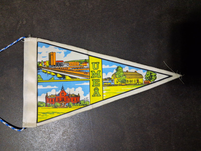 Viiri Umeo