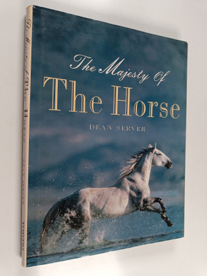 Dean Server : The majesty of the horse