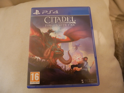 Ps4: Citadel: Forged with Fire