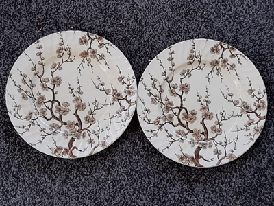 Aynsley RUOKALAUTANEN englantilainen Chinese blossom