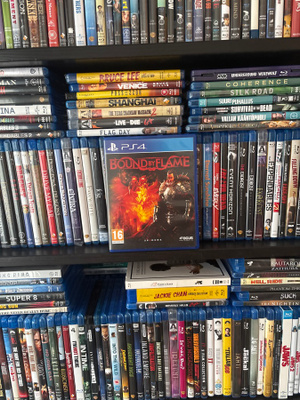 Bound by flame ps4 cib