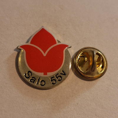 SALO 55 VUOTTA PINSSI