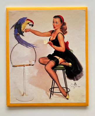 * Pin-up-magneetti * lemmikkinä papukaija *