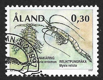Jääkauden reliikit (LAPE 124) EP O