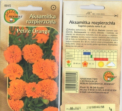 Ryhmäsamettikukka "Petite Orange" siemenet #