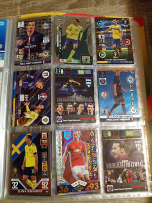Zlatan Ibrahimovic kortit erä8
