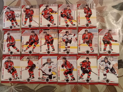 Jääkiekkokortit Ässät