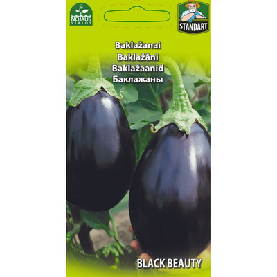 Munakoiso "Black Beauty" siemenet #