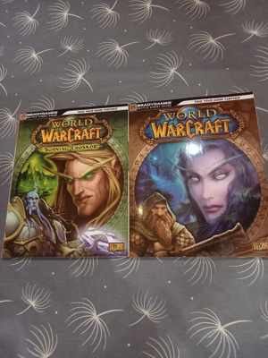 2 kpl World of warcraft pelikirjat