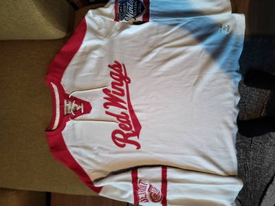 Detroit Winter classic pelipaita