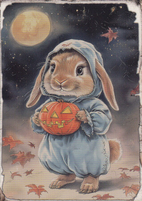 Halloween pupulapsella kurpitsa ja sininen potkupuku