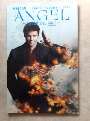 Angel - After The Fall, volume 4