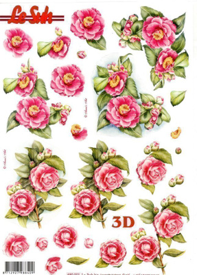 STANSSATTU 3D "PINKIT METSÄRUUSUT & PIONIT" /Le Suh