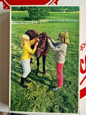 Pony Vintage Palapeli