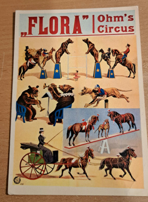 Flora Circus-juliste - kortti, käsipostissa 1990
